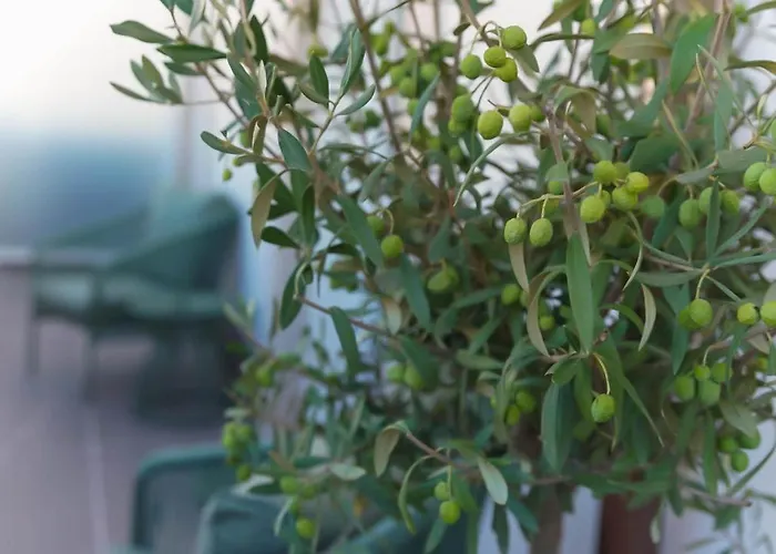 Morar Appartement Ourense